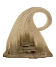 Clip In SkinG Hair Extensions – Alaska | GrzechHair