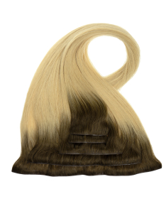 Clip In SkinG Hair Extensions – Bright Side | GrzechHair