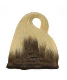 Clip In SkinG Hair Extensions – Night & Day | GrzechHair