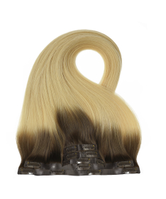 Clip In SkinG Hair Extensions – Night & Day | GrzechHair