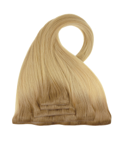 Clip In SkinG Hair Extensions – Sunlight | GrzechHair