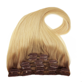 Hair Event Clip In Sunlight 2