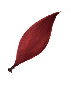 Hair Event microring 900 50cm 0.6g 1pc.