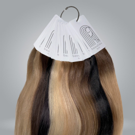 Beauties by G premium hair palette