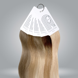 Complement 3 premium hair palette Beauties by G