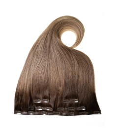 Clip In SkinG Hair Extensions – Sun Bear | GrzechHair