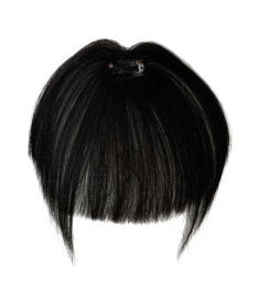 Hair NN + Chic FringeG 1.0