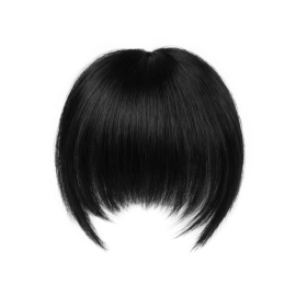 Hair NN + Chic FringeG 1.0