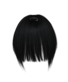 Hair NN + Chic FringeG 1.0