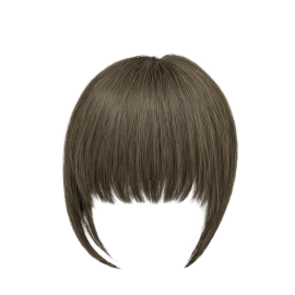 Hair NN + Chic FringeG 3.0