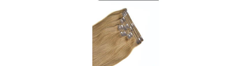 Clip in
